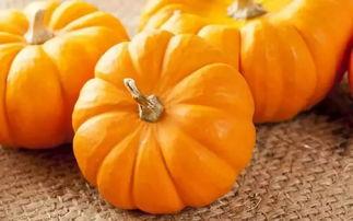 国产麻籽南瓜好吃吗视频,口感独特，美味可口，视频揭秘其魅力