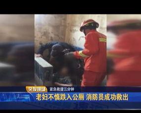 国产bb老妇视频,揭秘老年生活新视角